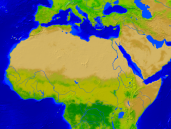 Afrika-Nord Vegetation 1600x1200